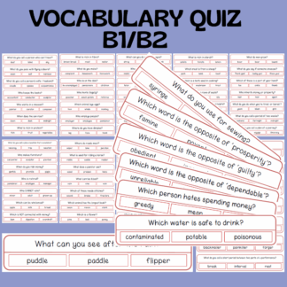 VOCABULARY QUIZ B1 - B2