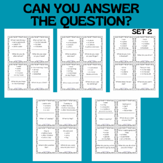 CAN YOU ANSWER THE QUESTION CARDS / SET 2