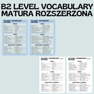 B2 LEVEL VOCABULARY (MATURA) / LETTER P